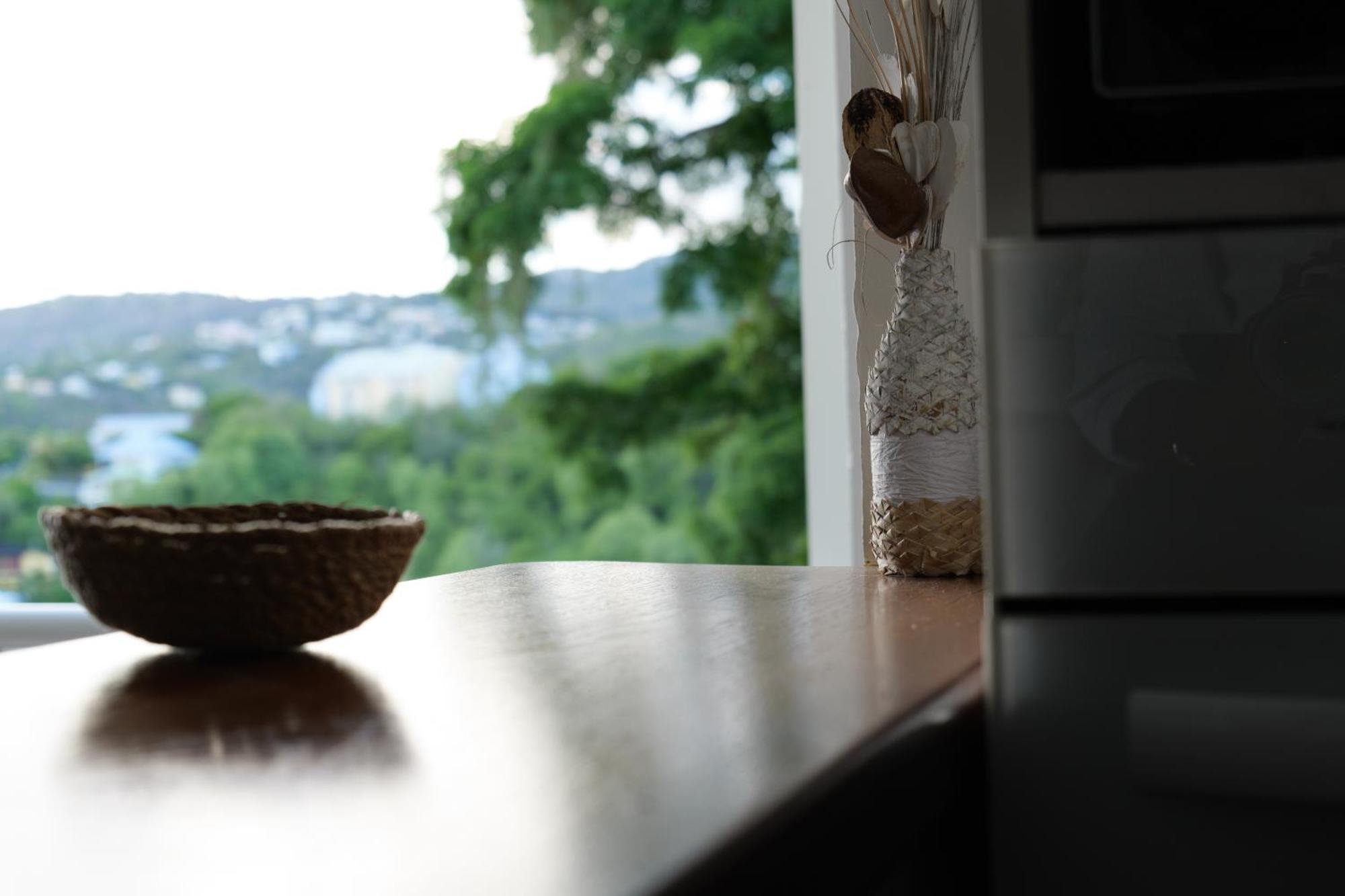 Appart. T3 Les Hauts De Madiana Schoelcher Εξωτερικό φωτογραφία